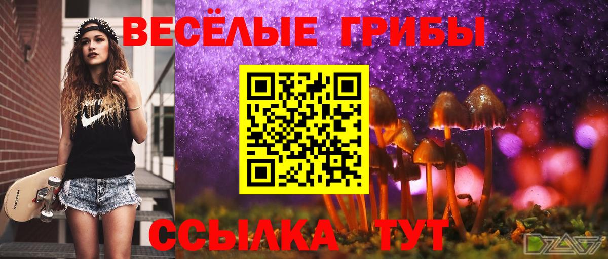 Галлюциногенные грибы Psilocybe Домодедово