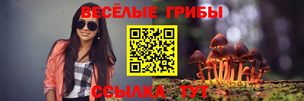 Псилоцибиновые грибы ЛСД  Вход с VPN  Домодедово 